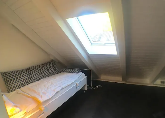 Exklusives Dg-apartment In Pankow Apartment