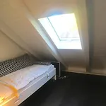 Exklusives Dg-apartment In Pankow 公寓