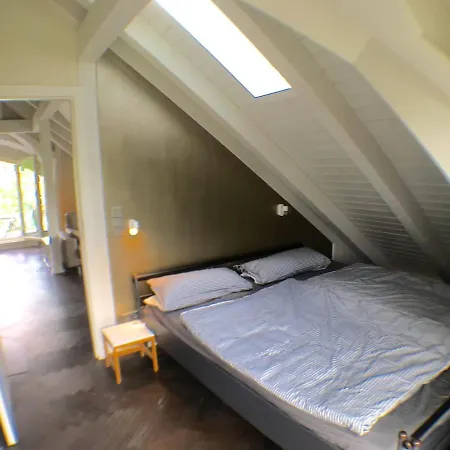 Apartment Exklusives Dg-apartment In Pankow *